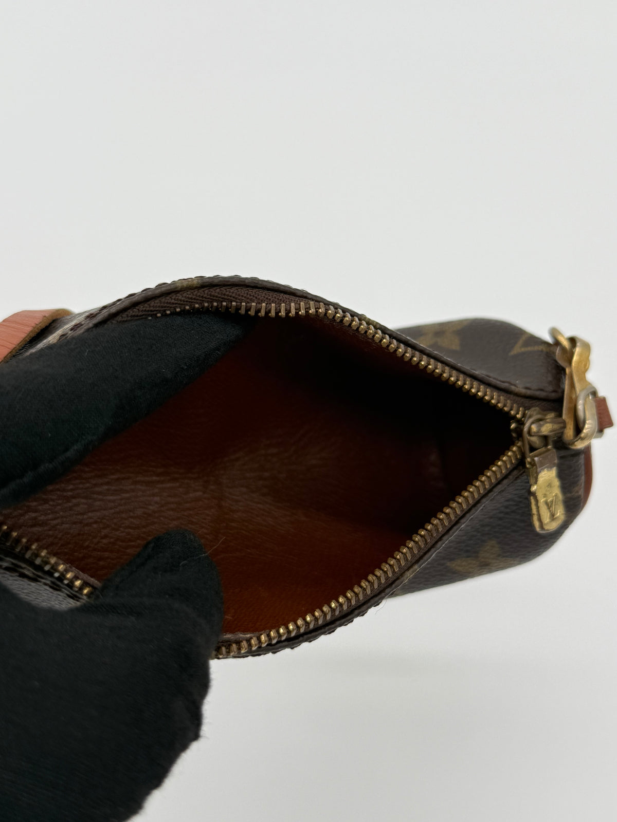 Papillon 30 + Mini
